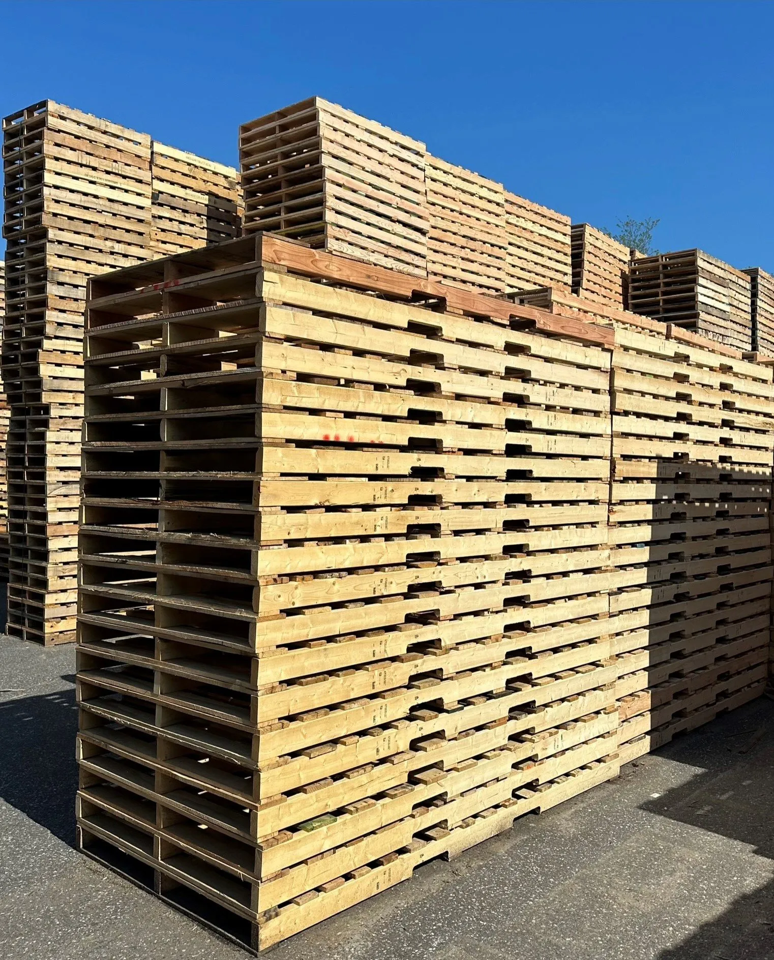 Pallets stacked and ready for collection and recycling